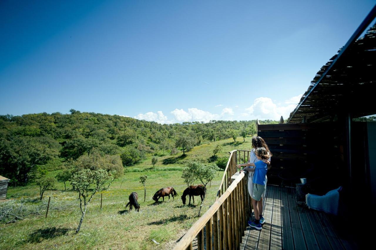 Monte Gois Country House E Spa Curvatos Extérieur photo
