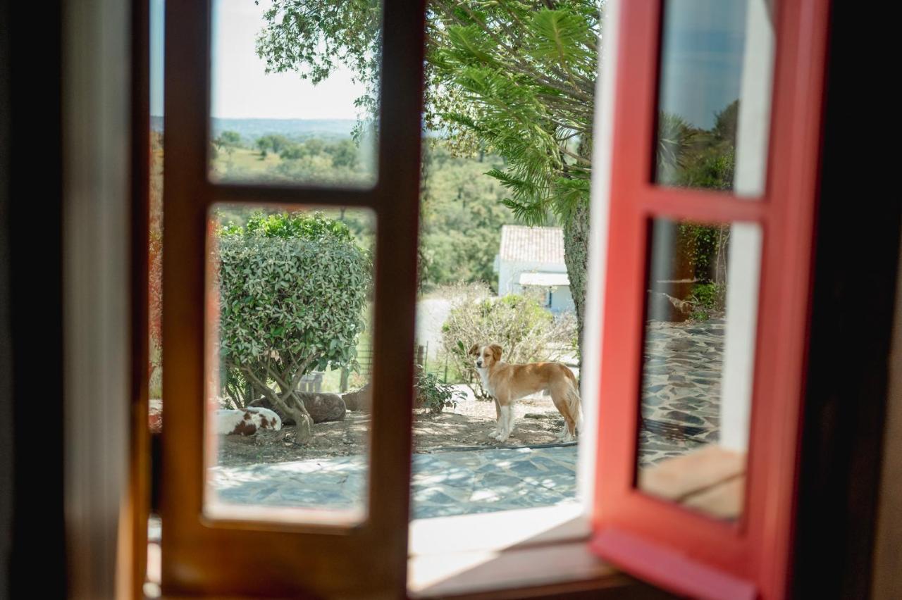 Monte Gois Country House E Spa Curvatos Extérieur photo